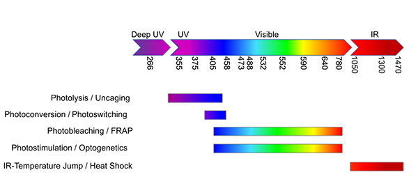 image depicting available LED wavelengths in a spectrum